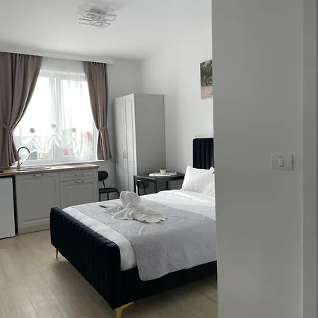 Ferienwohnung Casa Bursucilor Mosnita Noua Exterior foto